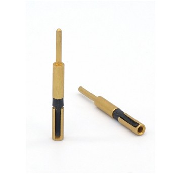 Gniazdo pinu żeński/męski